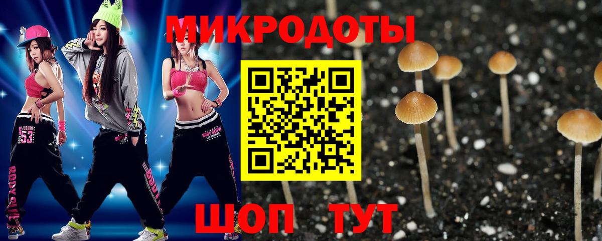 Псилоцибиновые грибы прущие грибы  Вход с VPN  закладки  Партизанск 